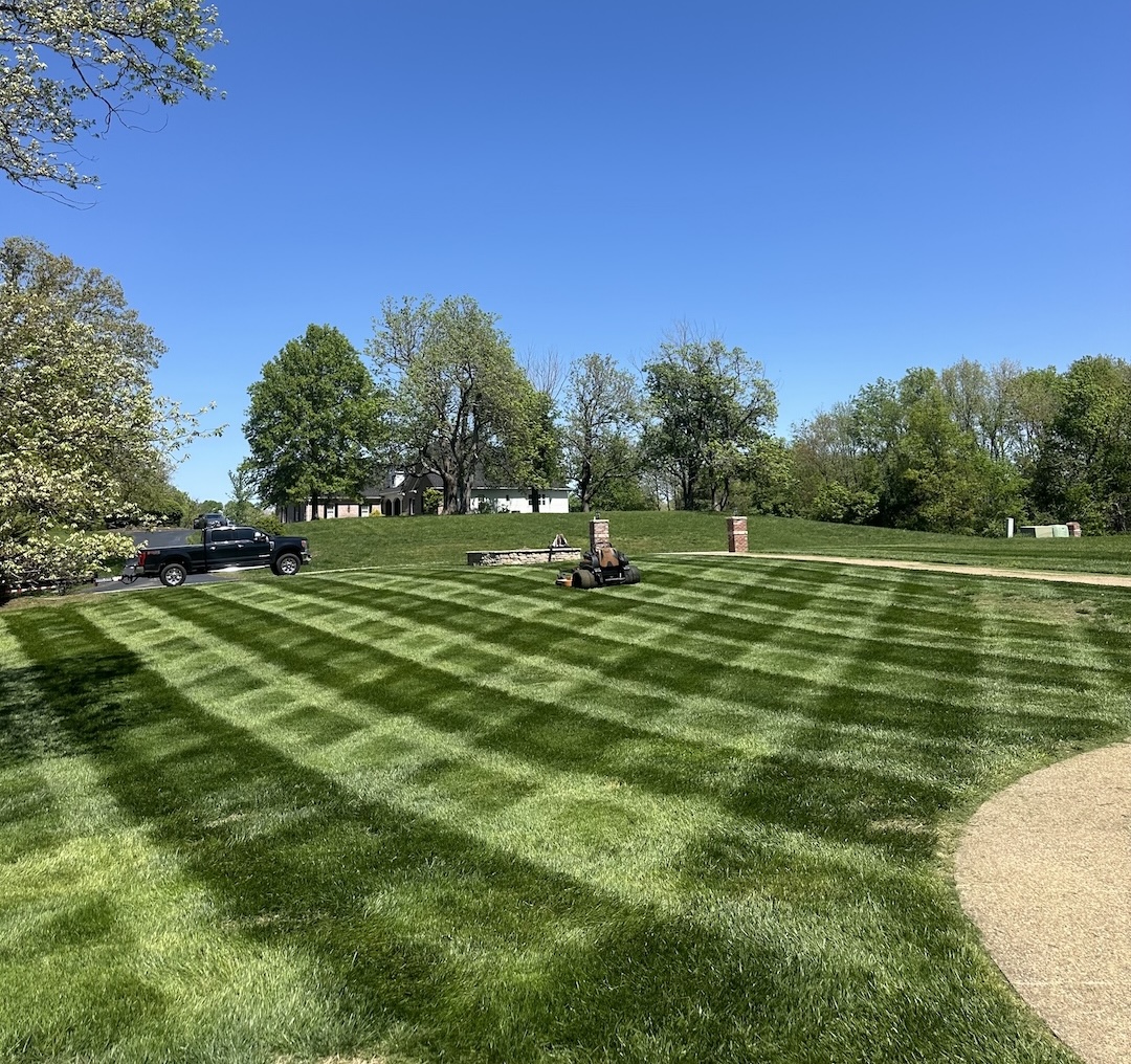 Lawn maintenance new