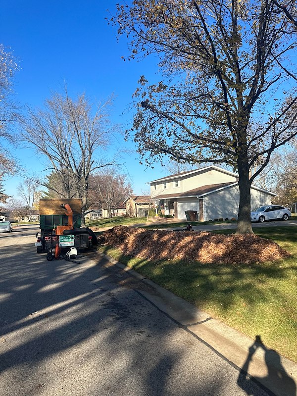 Detailed and Affordable Leaf Removal Service in St. Peters, Missouri