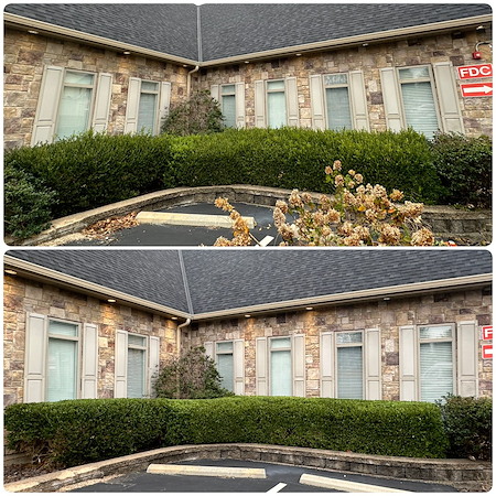Hedge Row, Ladue, MO