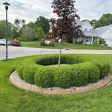 Professional-Hedge-Pruning-Services-in-St-Charles-MO-Boosting-Curb-Appeal-and-Plant-Health 0