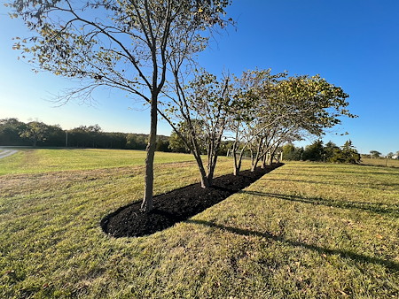 Professional Mulch Installation with Landscape Edging Services in Wentzville, MO