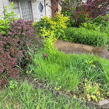 St-Charles-County-Landscape-Cleanup-Quality-Affordable-Shrub-Pruning 0